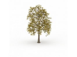 European ash tree 3d model preview