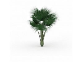 Sea coconut palm tree 3d model preview