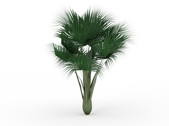Sea coconut palm tree 3d rendering
