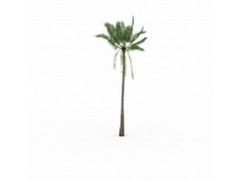 African oil palm tree 3d model preview