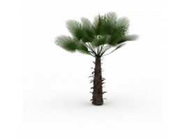 Chusan palm tree 3d model preview