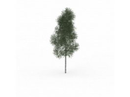 Mountain paper birch tree 3d model preview
