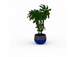 Indoor tree plants 3d model preview