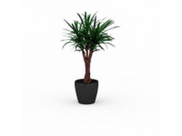 Yucca gloriosa in pot 3d model preview
