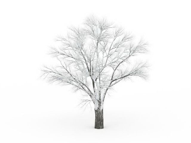 Snow bare tree 3d rendering