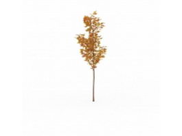 Yellow maple tree 3d model preview