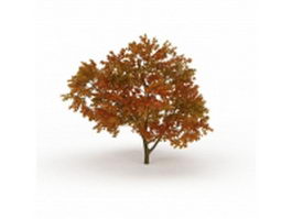 Fall color tree 3d model preview