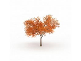 Fall leaf tree 3d model preview
