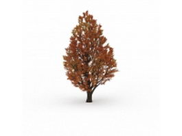 Autumn fall tree 3d model preview