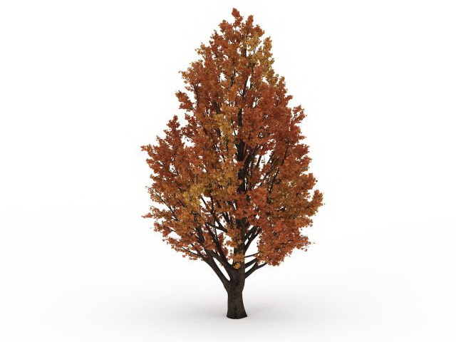 Autumn fall tree 3d rendering