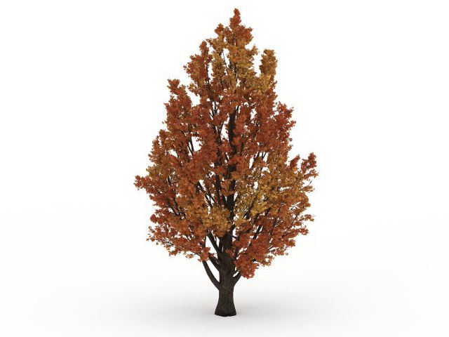 Autumn fall tree 3d rendering