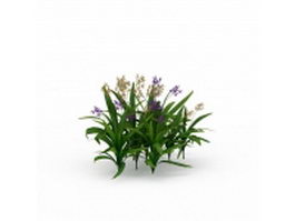 Orchid plants 3d model preview