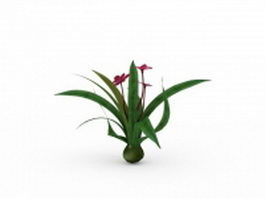 Red cymbidium orchids 3d model preview