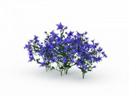 Blue spring flowers plants 3d model preview