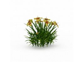 Shrub yellow flowers 3d model preview