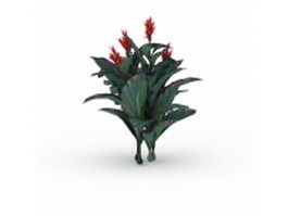 Canna indica plant 3d model preview
