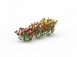 Three color rose bushes 3d model preview