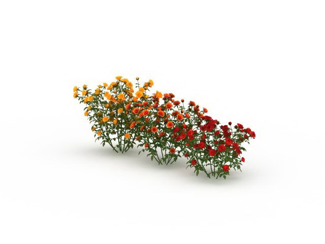 Three color rose bushes 3d rendering