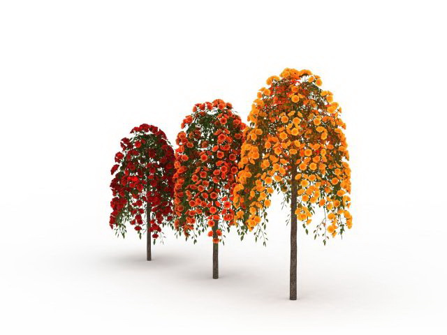 Rose trees three colors 3d rendering