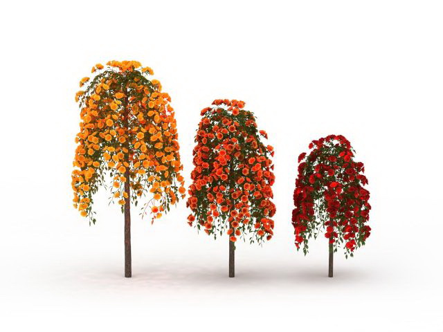 Rose trees three colors 3d rendering