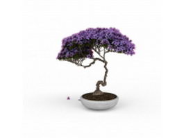 Wisteria bonsai tree 3d model preview