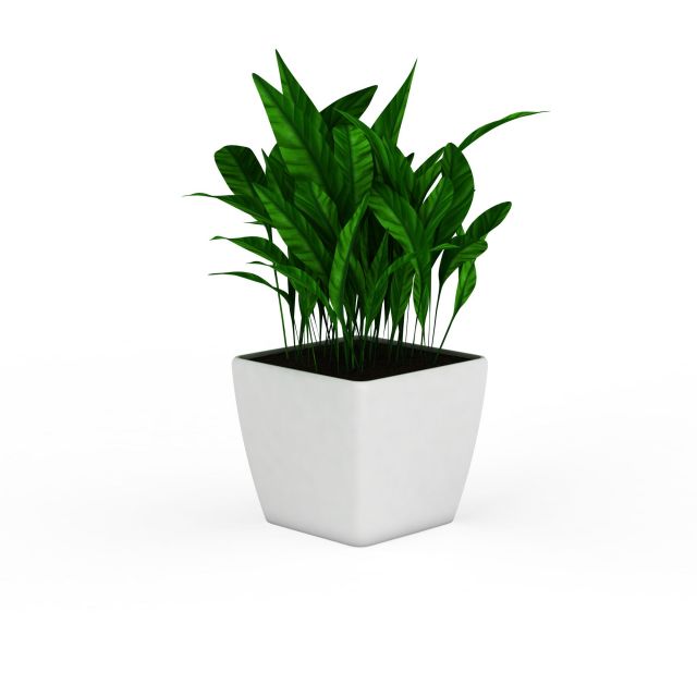 Artificial potted plants 3d rendering