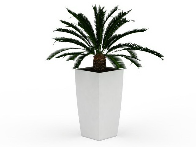 Artificial palm tree 3d rendering