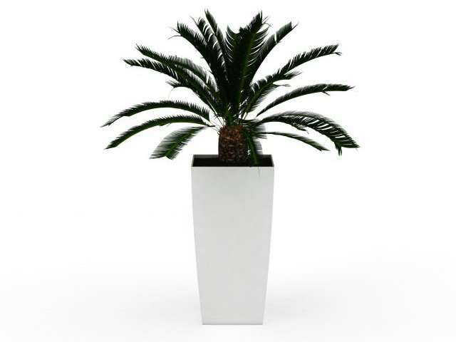 Artificial palm tree 3d rendering