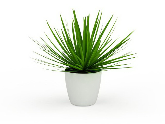 Aloe vera plant pot 3d rendering