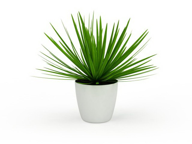Aloe vera plant pot 3d rendering