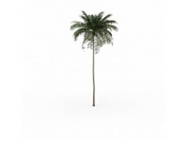 Tall thin palm tree 3d model preview