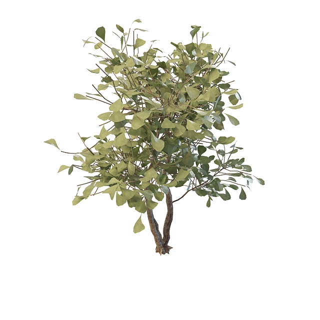 Shrub with green leaves 3d rendering