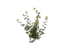 Yellow flowers shrub 3d model preview