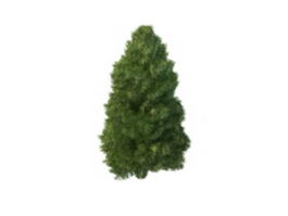 Leyland cypress tree 3d model preview