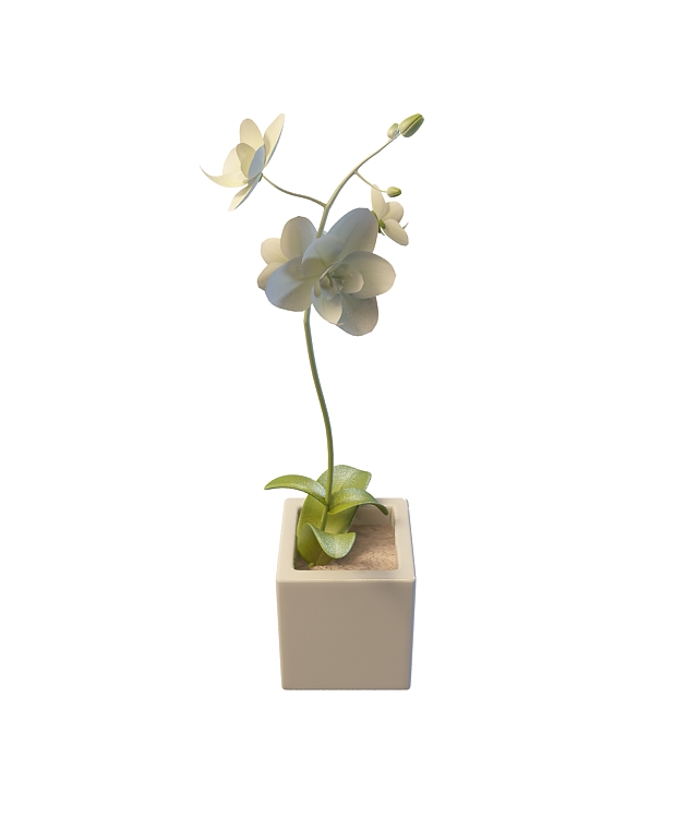 White flower pot 3d rendering