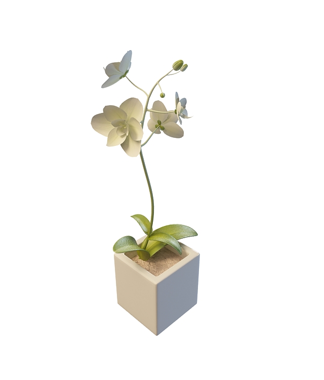 White flower pot 3d rendering
