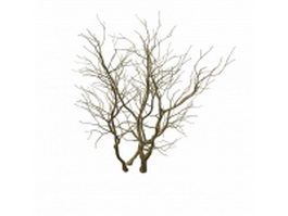 Naked tree 3d model preview