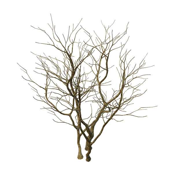 Naked tree 3d rendering