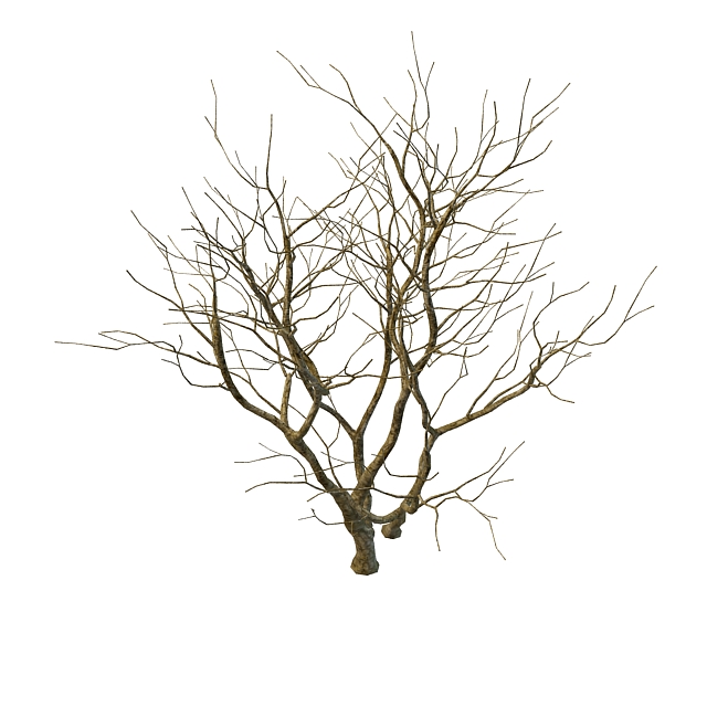 Naked tree 3d rendering