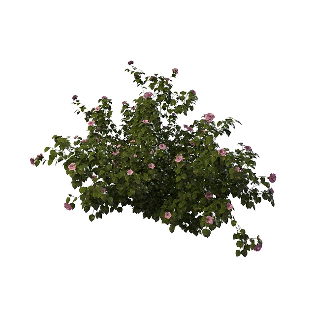Pink flower bush 3d rendering