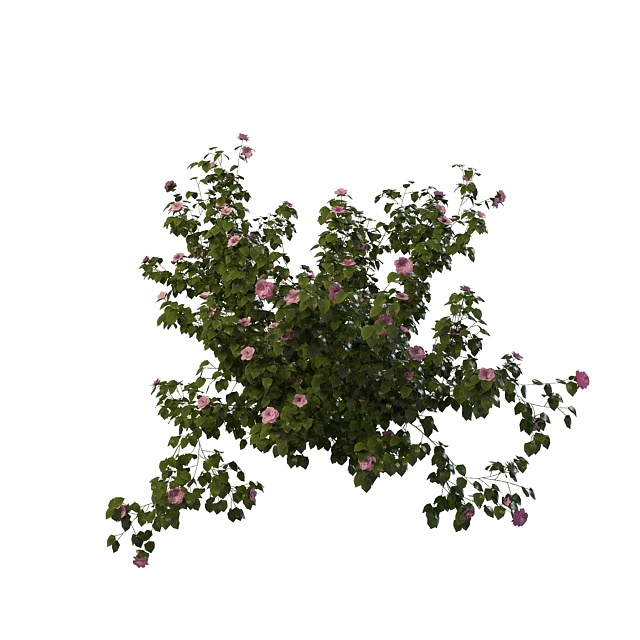 Pink flower bush 3d rendering