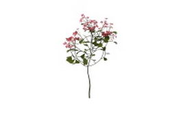 Spring red blooming shrubs 3d model preview