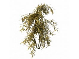 Golden privet hedge plants 3d model preview