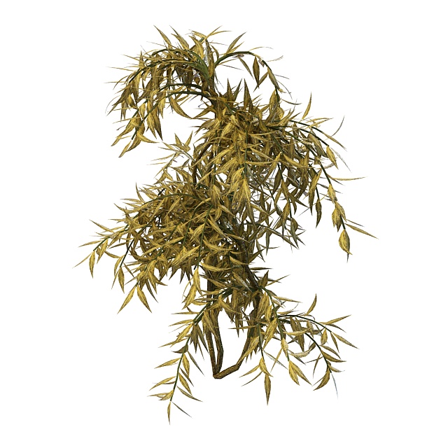 Golden privet hedge plants 3d rendering