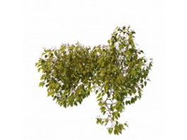 Red berry plant 3d preview