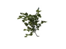 Branch of the forest shrub 3d model preview