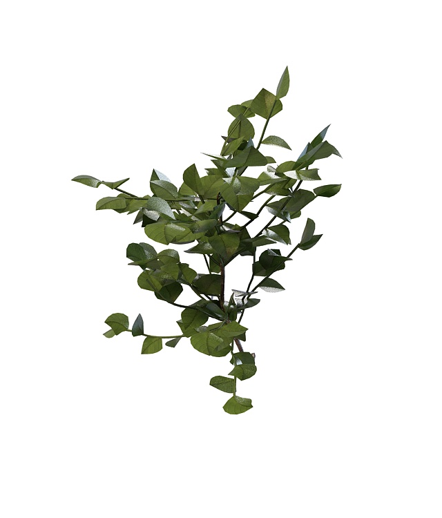 Branch of the forest shrub 3d rendering