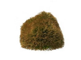 Topiary grass 3d model preview