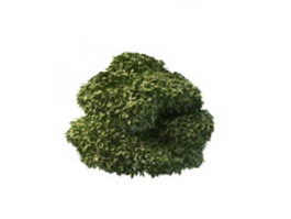 Unique topiary design 3d model preview