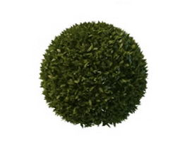 Topiary ball 3d model preview